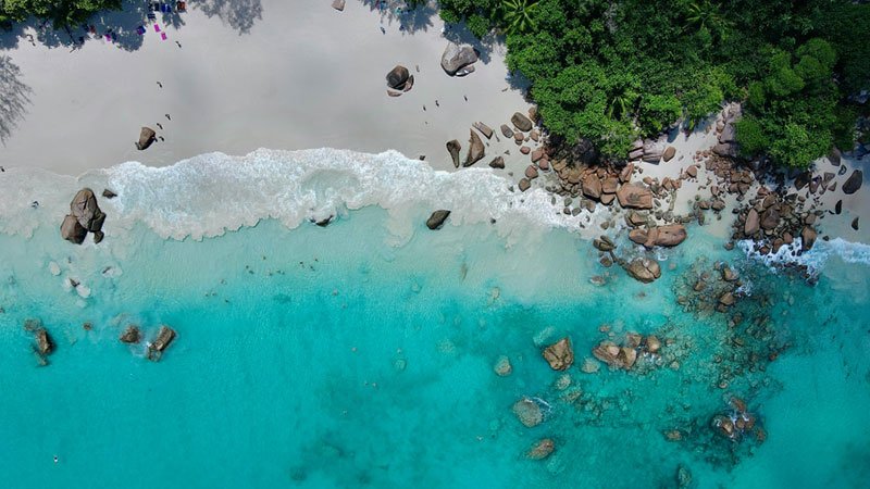 International Day of Forests Exploring the lush  greenery of Seychelles