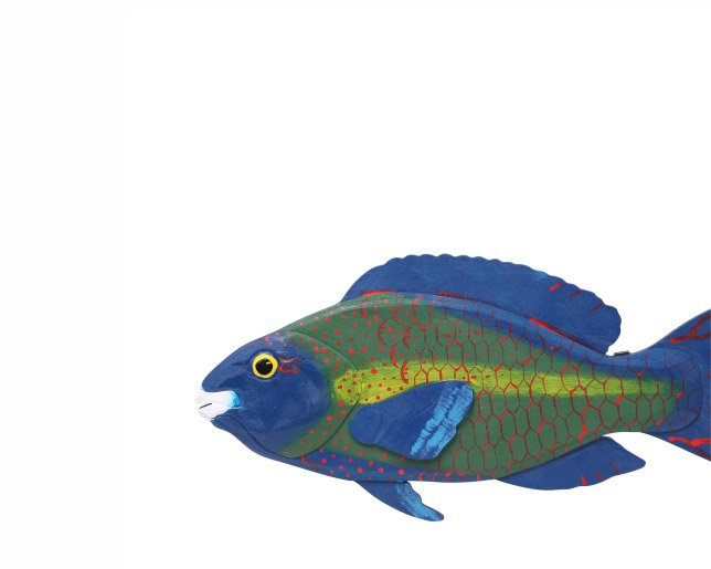 Wooden wall decoration-Parrot fish